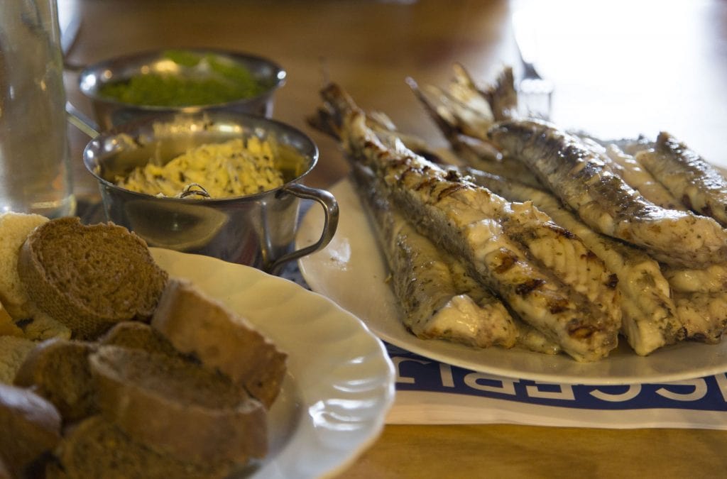 NETHERLANDS - Seals in need and lots of dirty fun at the Waddenzee near Lauwersmeer