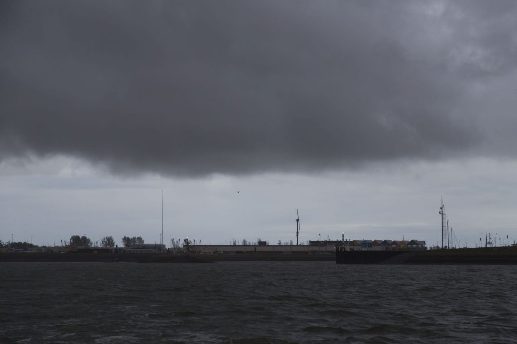 NETHERLANDS - Seals in need and lots of dirty fun at the Waddenzee near Lauwersmeer