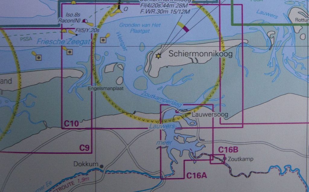 NETHERLANDS - Seals in need and lots of dirty fun at the Waddenzee near Lauwersmeer