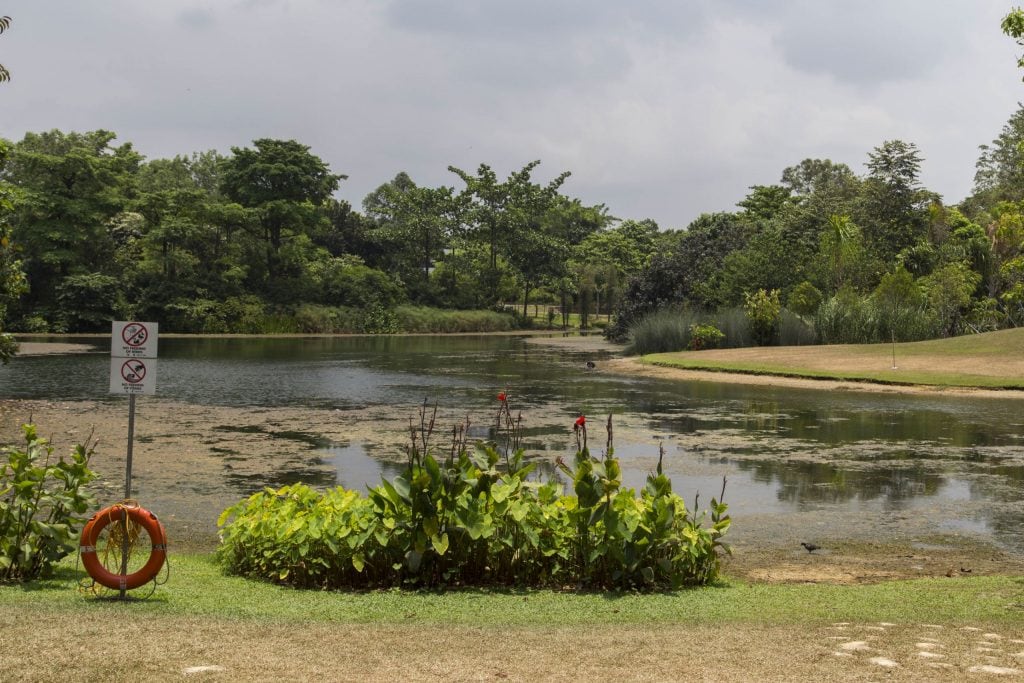 SINGAPORE - Must visit: Botanic Gardens & National Orchid Garden: a UNESCO site