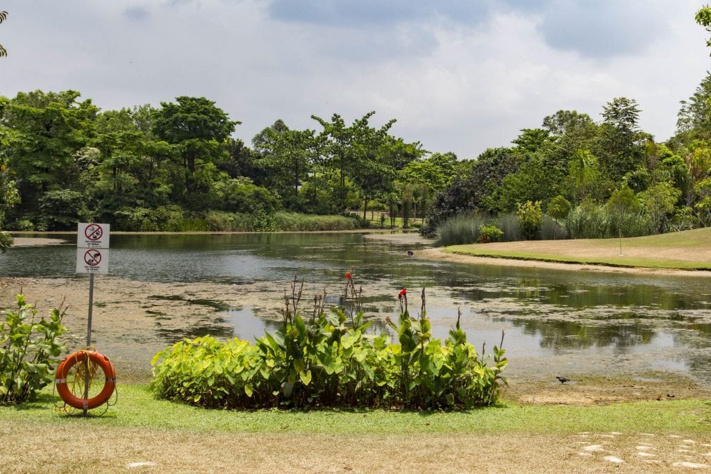 SINGAPORE - Must visit: Botanic Gardens & National Orchid Garden: a UNESCO site