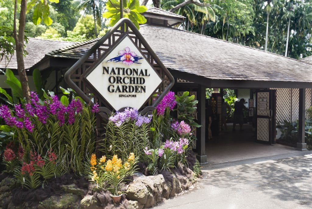 SINGAPORE - Must visit: Botanic Gardens & National Orchid Garden: a UNESCO site