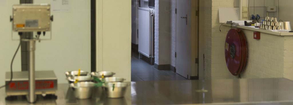 NETHERLANDS - Seals in need and lots of dirty fun at the Waddenzee near Lauwersmeer