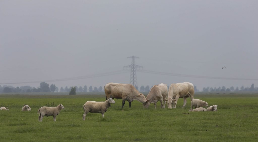 NETHERLANDS - Beautiful nature at Lauwersmeer & the Pieterpad walking trail