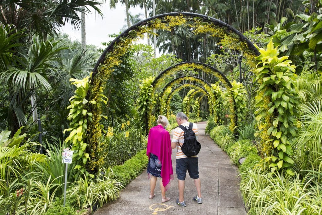 SINGAPORE - Must visit: Botanic Gardens & National Orchid Garden: a UNESCO site