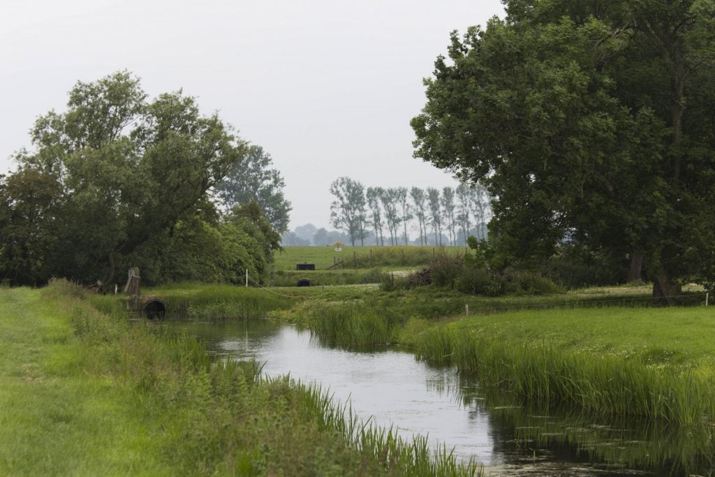 NETHERLANDS - Beautiful nature at Lauwersmeer & the Pieterpad walking trail