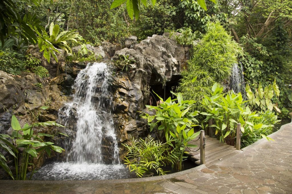 SINGAPORE - Must visit: Botanic Gardens & National Orchid Garden: a UNESCO site