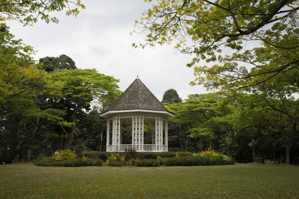 SINGAPORE - Must visit: Botanic Gardens & National Orchid Garden: a UNESCO site
