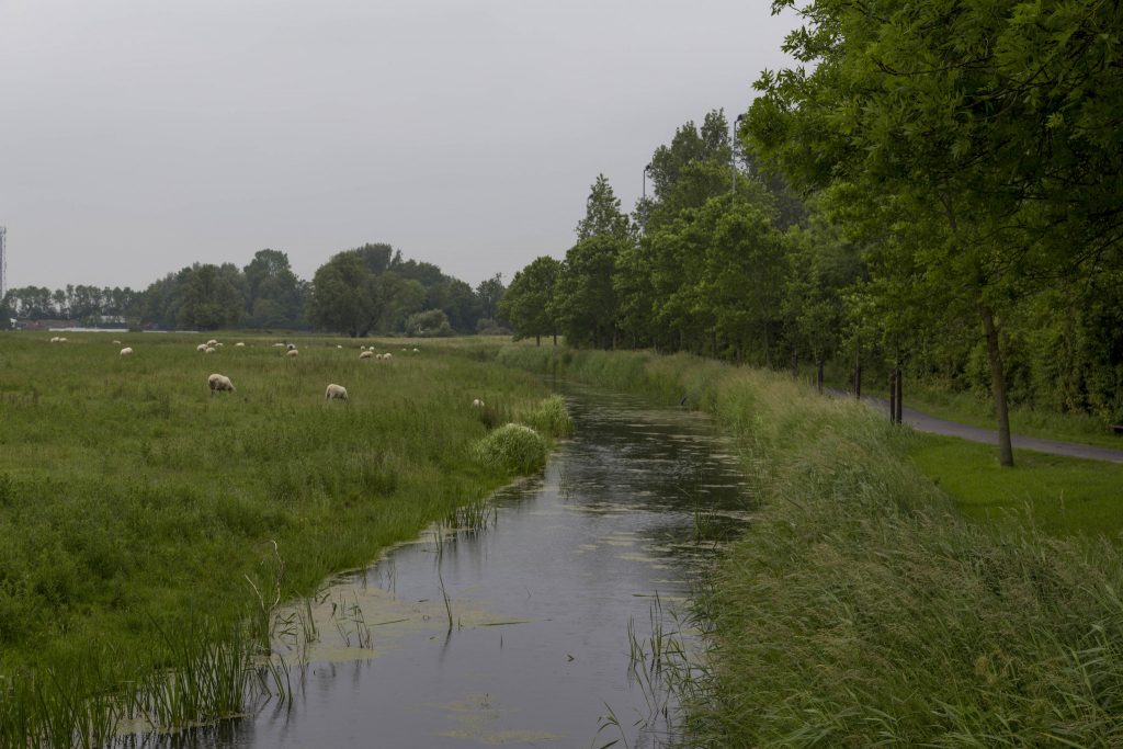 NETHERLANDS - Beautiful nature at Lauwersmeer & the Pieterpad walking trail