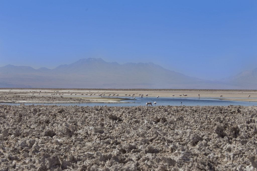 CHILE – Two Chile salt flats and a 5* lunch at 4300m altitude