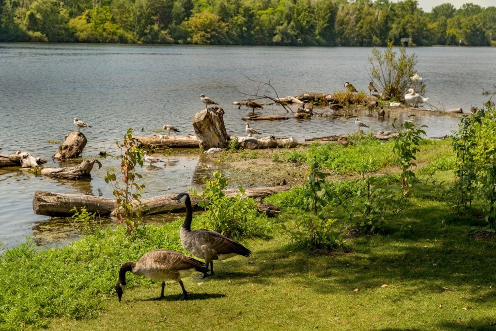 CANADA - A day trip to Toronto Island and the CN Tower