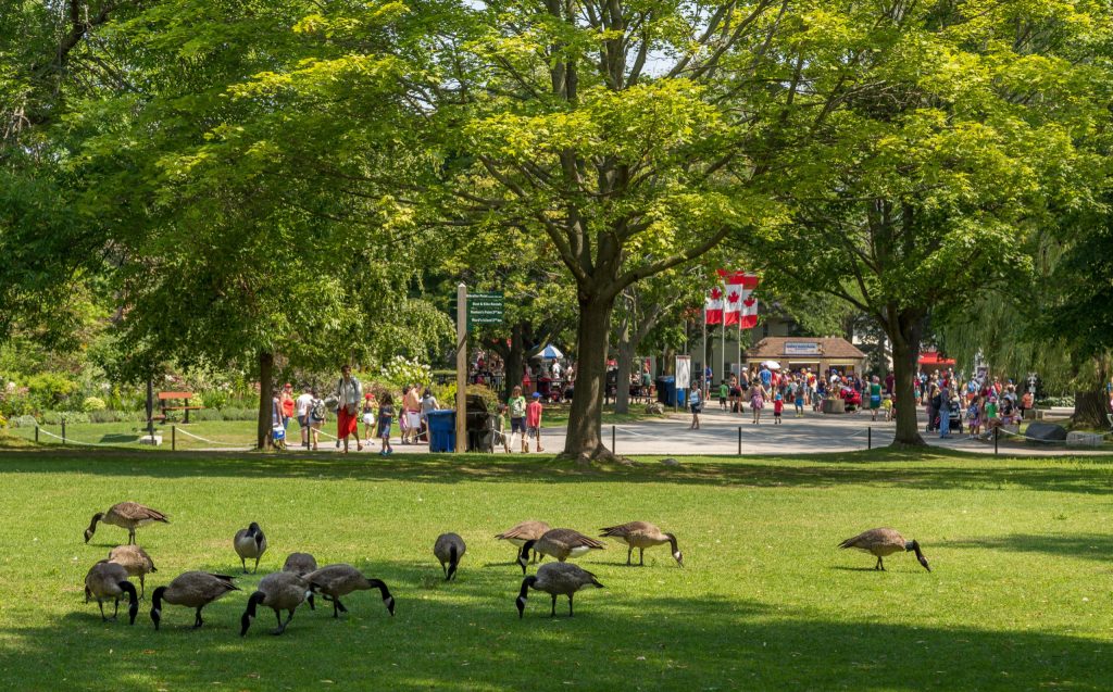 CANADA - A day trip to Toronto Island and the CN Tower