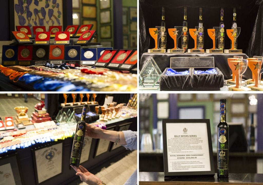 CANADA – Tasting the best ice wine around Niagara on the Lake