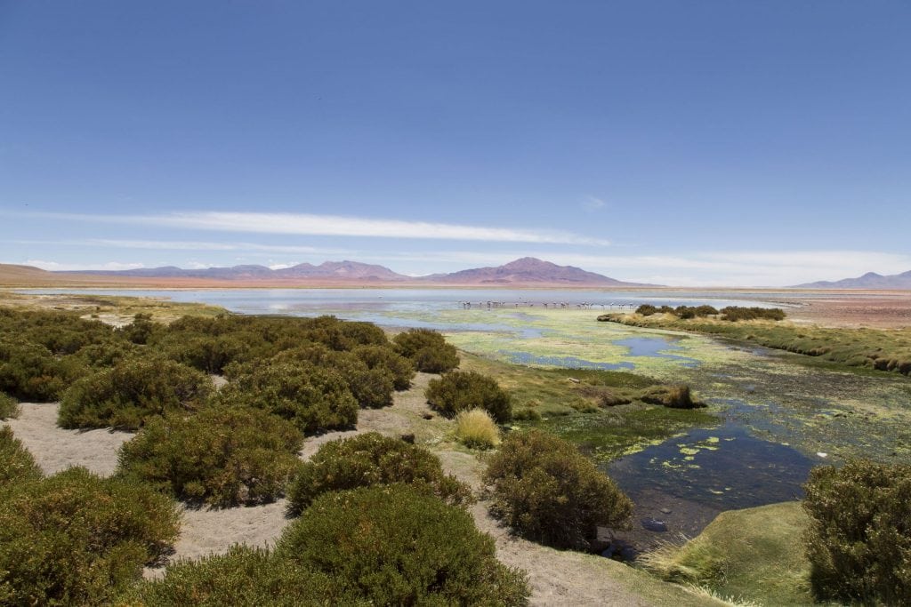 CHILE – Two Chile salt flats and a 5* lunch at 4300m altitude