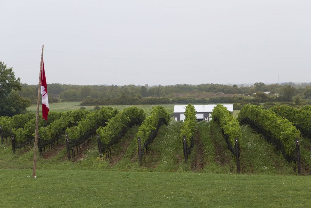 CANADA – Tasting the best ice wine around Niagara on the Lake