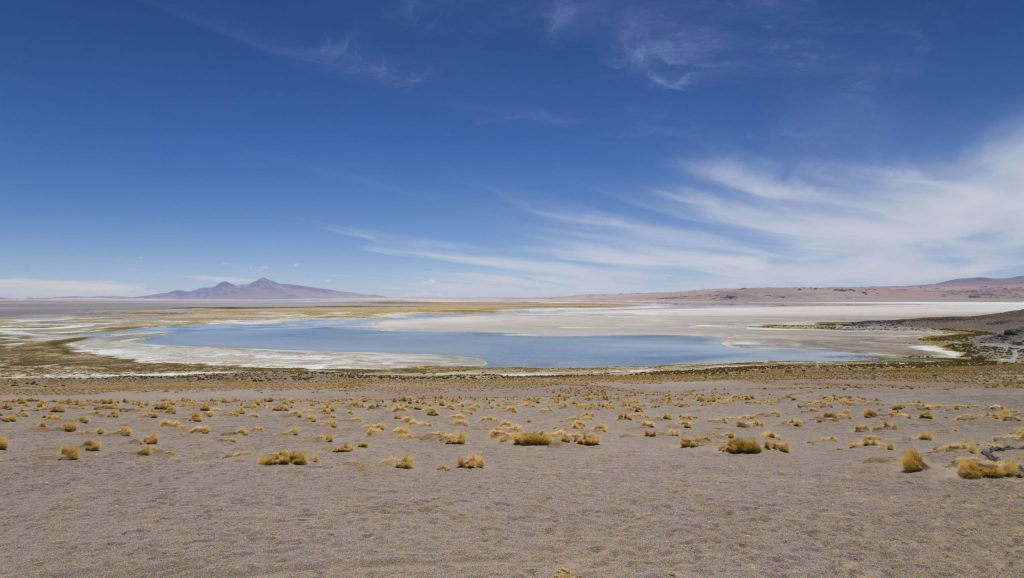 CHILE – Two Chile salt flats and a 5* lunch at 4300m altitude
