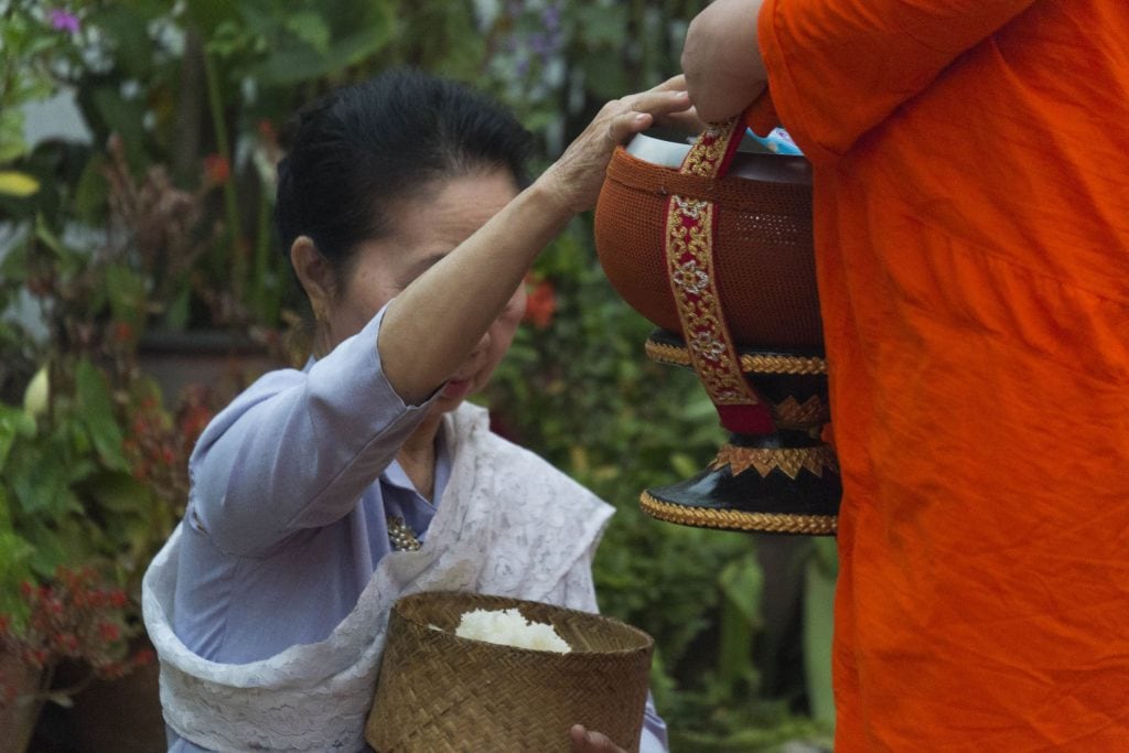 LAOS - Monks alms giving ceremony in Luang Prabang