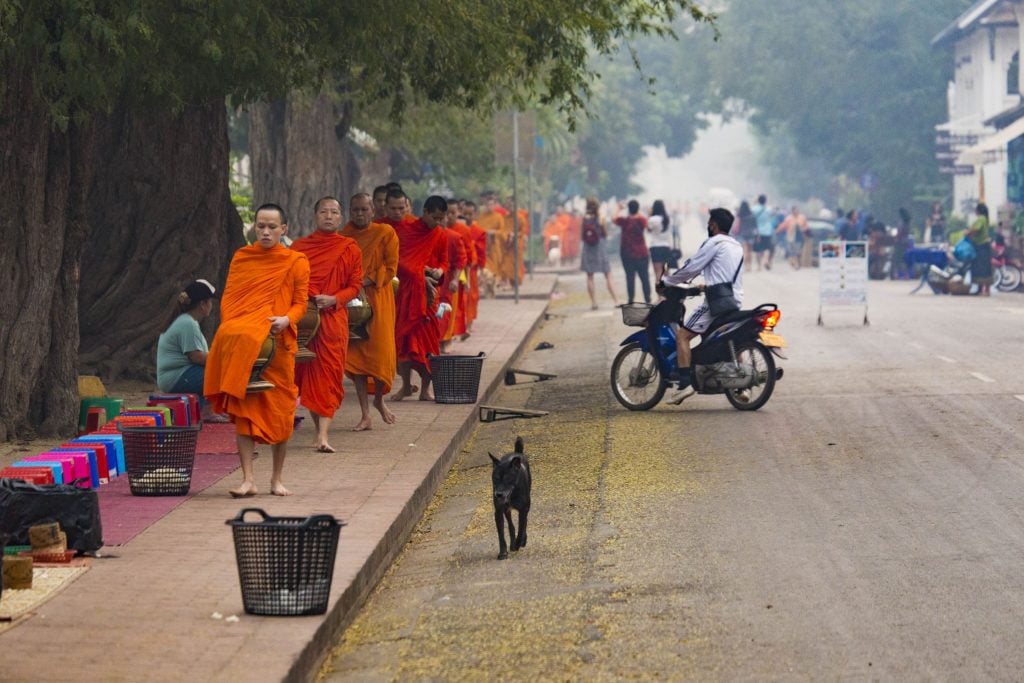 LAOS - Monks alms giving ceremony in Luang Prabang
