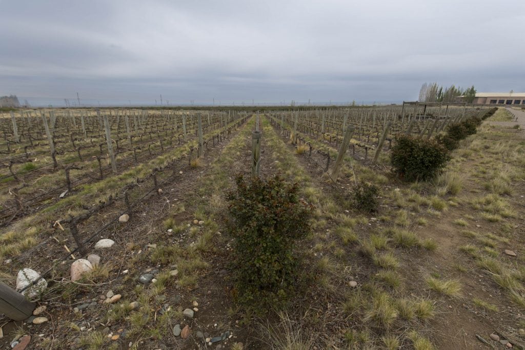 ARGENTINA - A wine tour in the Uco Valley, the better region near Mendoza
