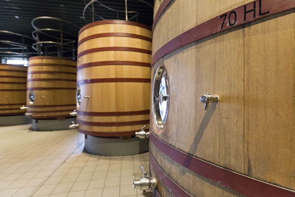 ARGENTINA - A wine tour in the Uco Valley, the better region near Mendoza