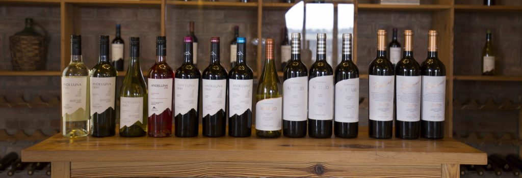 ARGENTINA - A wine tour in the Uco Valley, the better region near Mendoza