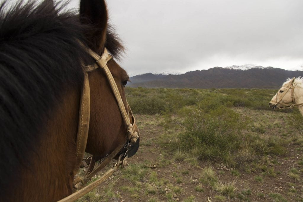 ARGENTINA - A wine tour in the Uco Valley, the better region near Mendoza