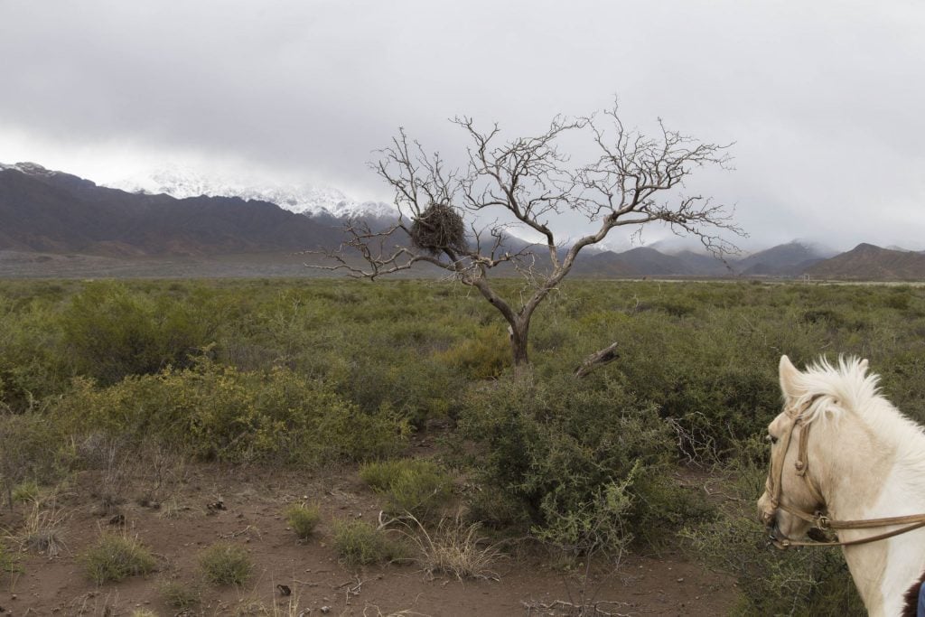 ARGENTINA - A wine tour in the Uco Valley, the better region near Mendoza