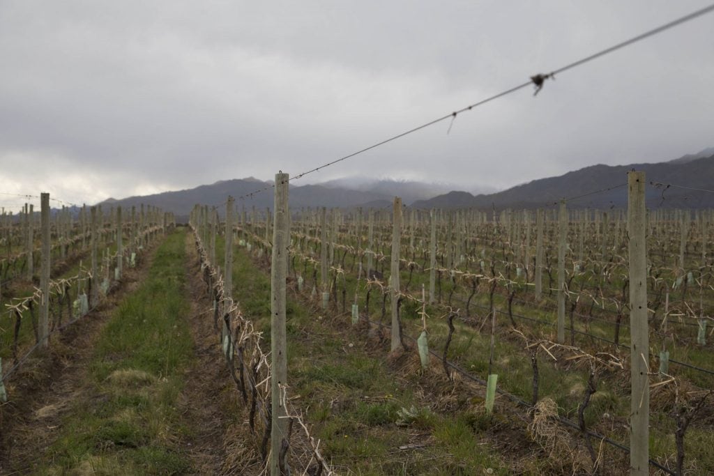 ARGENTINA - A wine tour in the Uco Valley, the better region near Mendoza