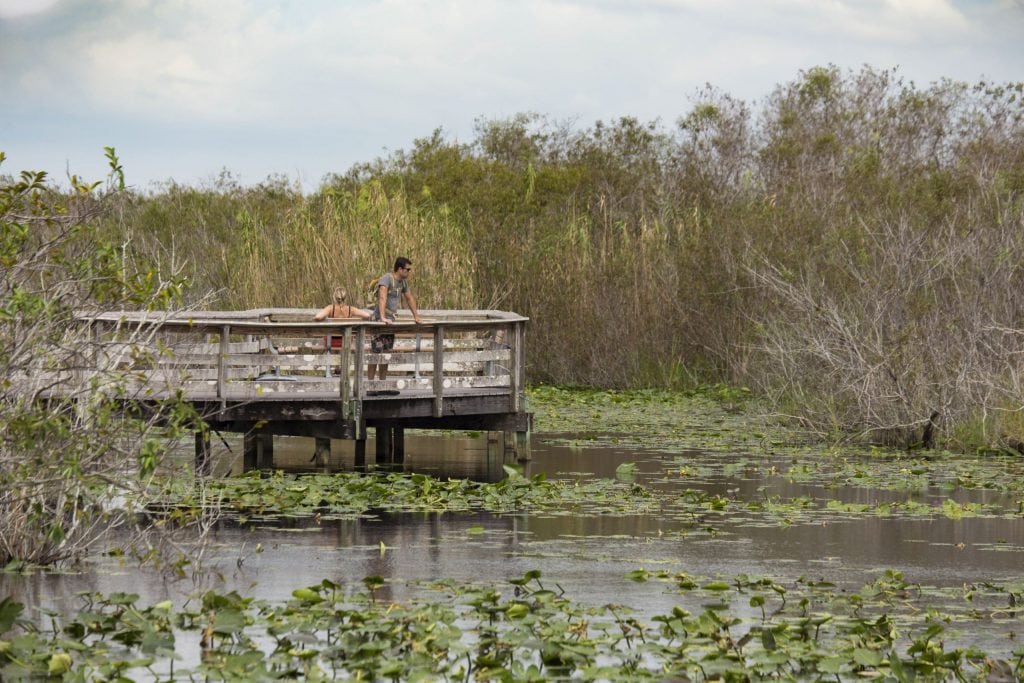 USA - The Everglades main road: 7 trails through different eco-systems