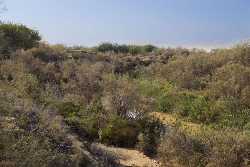 JORDAN - Floating in the Dead Sea & baptism site of Jesus