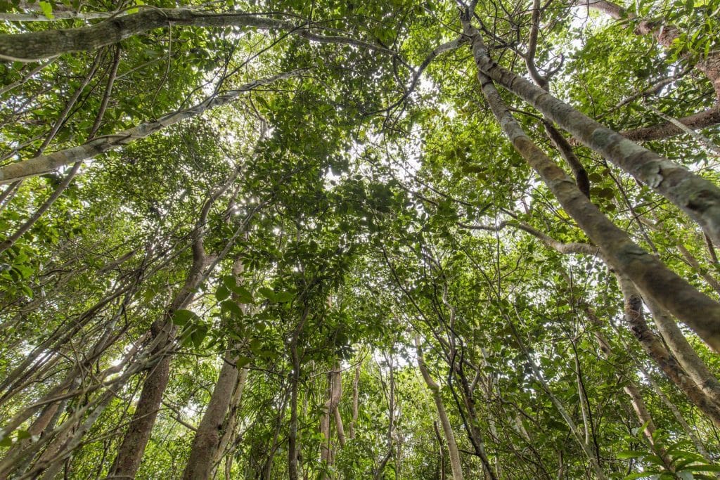 USA - The Everglades main road: 7 trails through different eco-systems