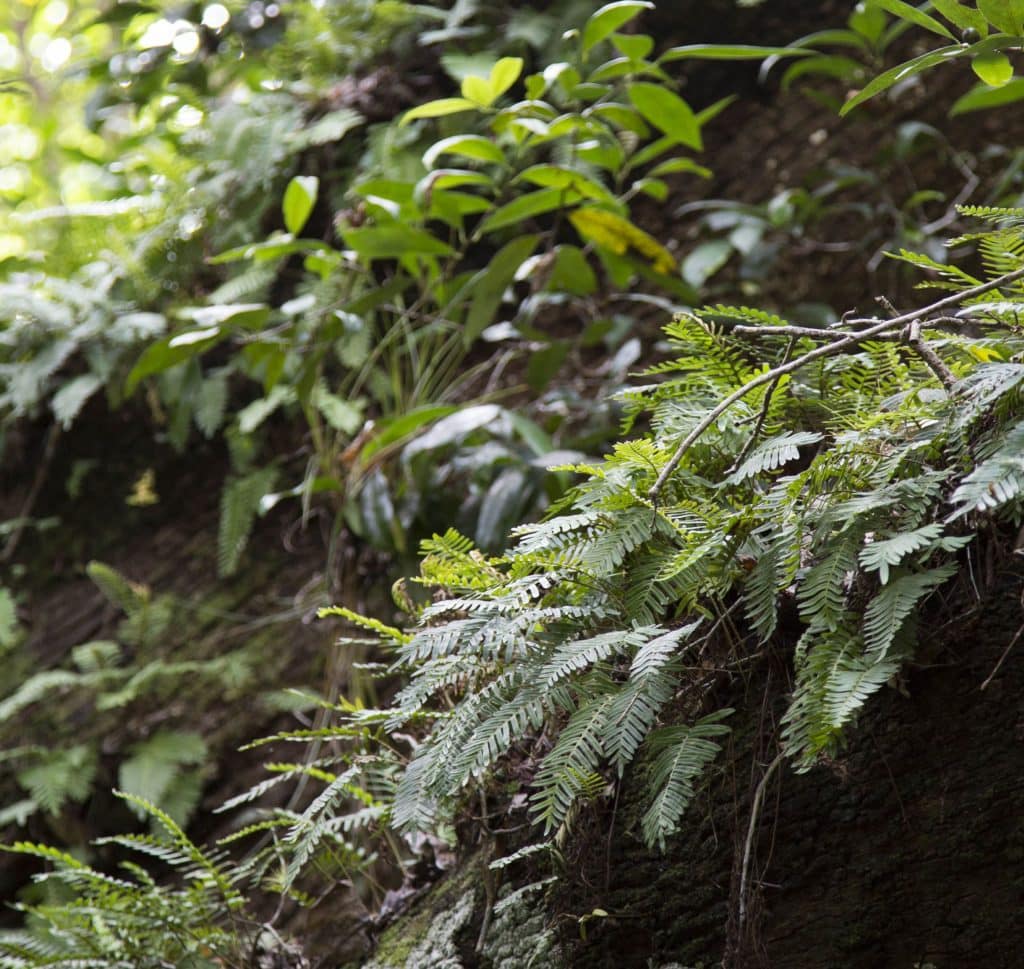 USA - The Everglades main road: 7 trails through different eco-systems