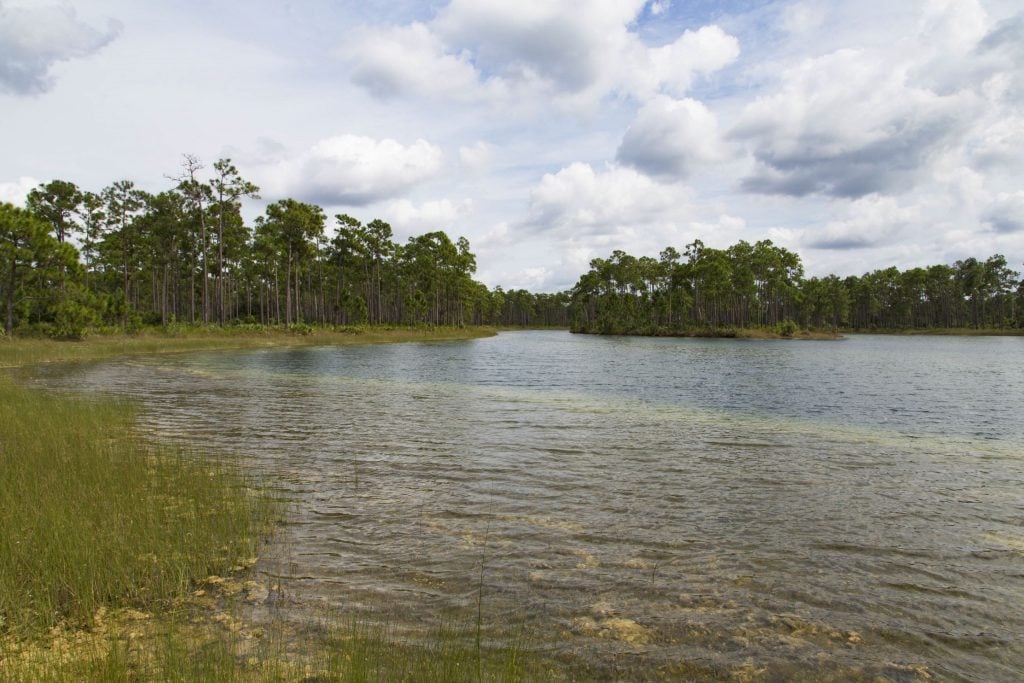 USA - The Everglades main road: 7 trails through different eco-systems