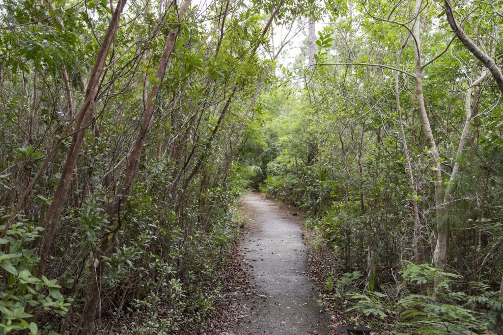 USA - The Everglades main road: 7 trails through different eco-systems