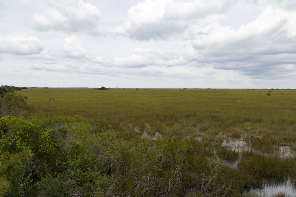 USA - The Everglades main road: 7 trails through different eco-systems