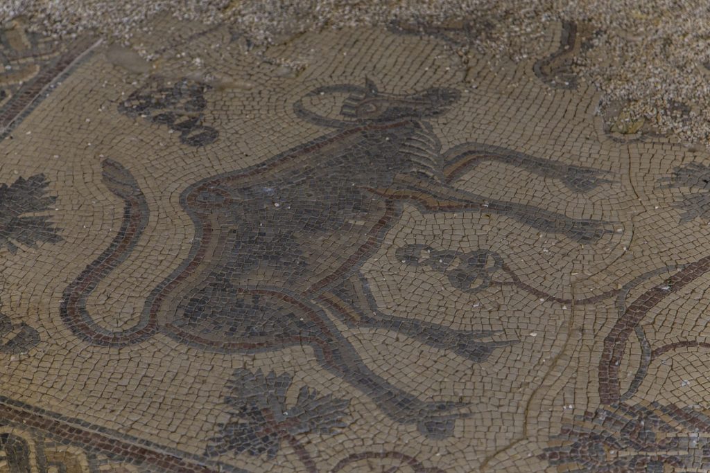 JORDAN - The King's Highway: Mount Nebo, Madaba, Umm Ar-Rasas, Kerak