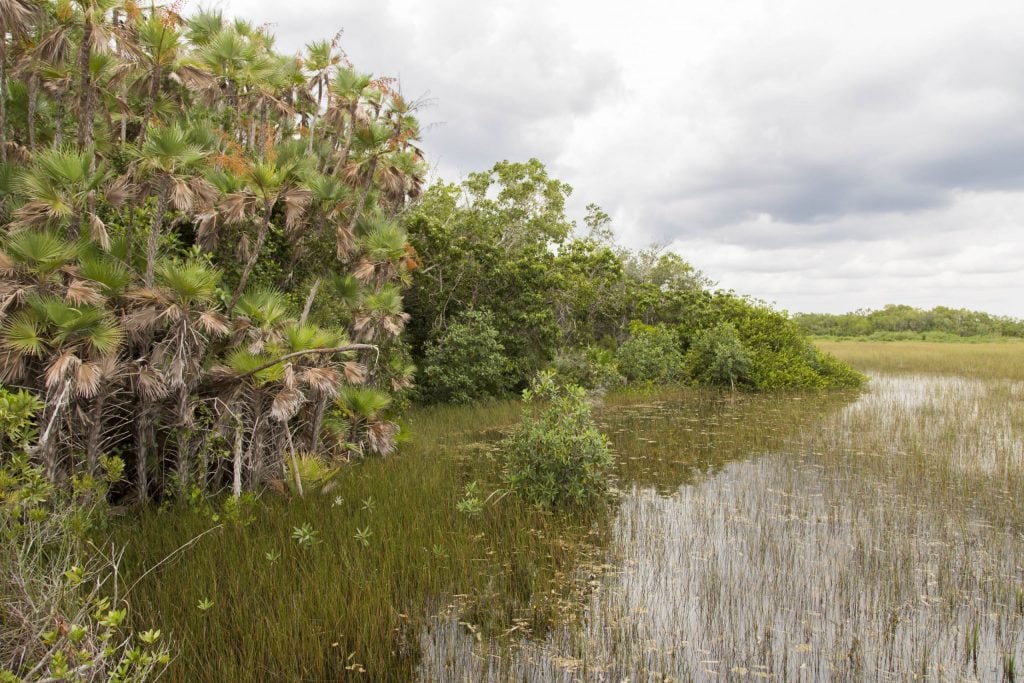 USA - The Everglades main road: 7 trails through different eco-systems