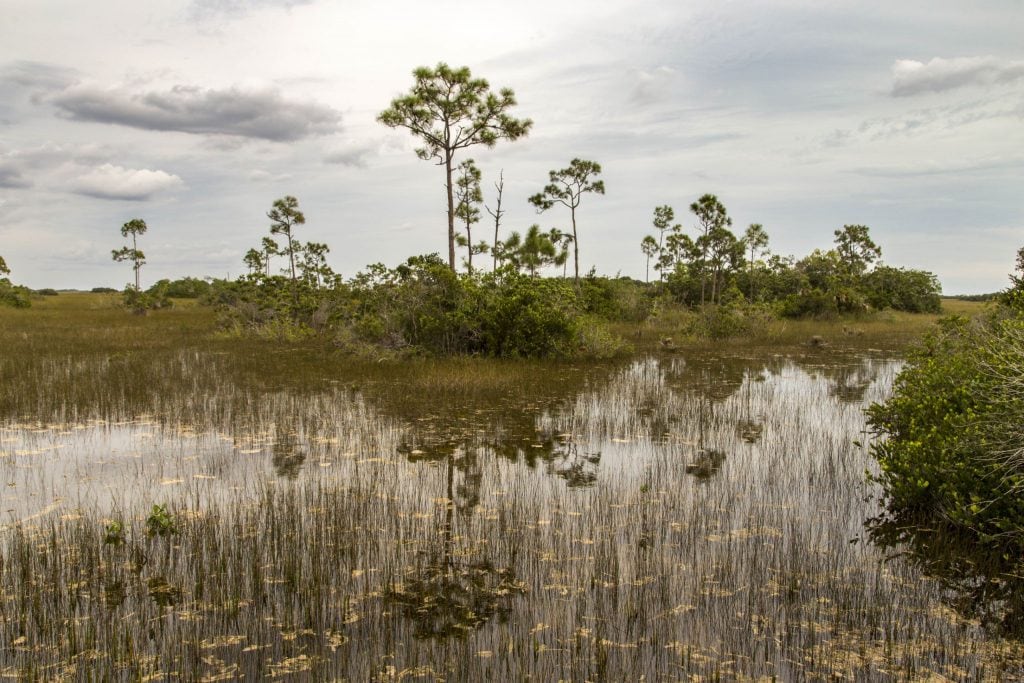 USA - The Everglades main road: 7 trails through different eco-systems