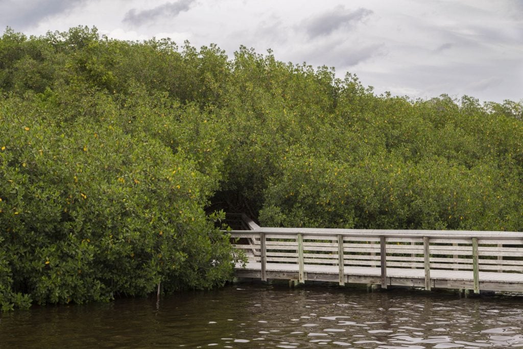 USA - The Everglades main road: 7 trails through different eco-systems