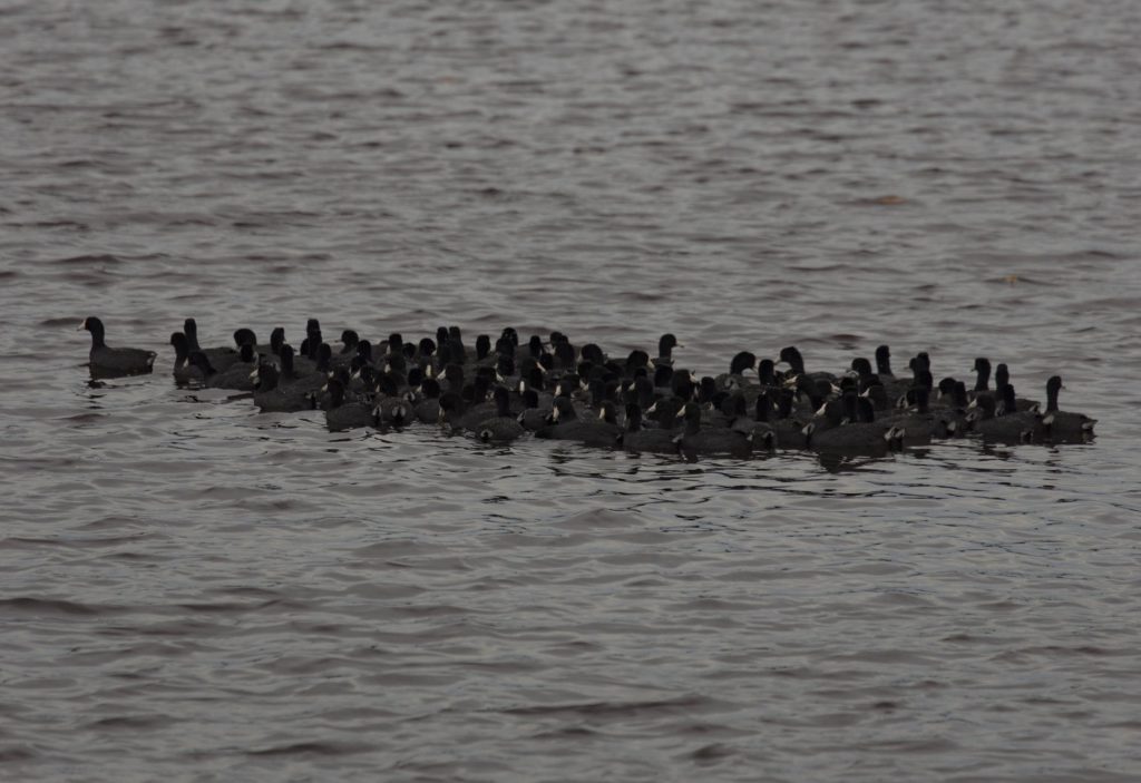 USA - The Everglades main road: 7 trails through different eco-systems