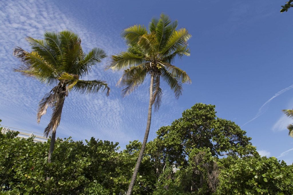 USA – The Florida Keys II: Bahia Honda Beach & Key West