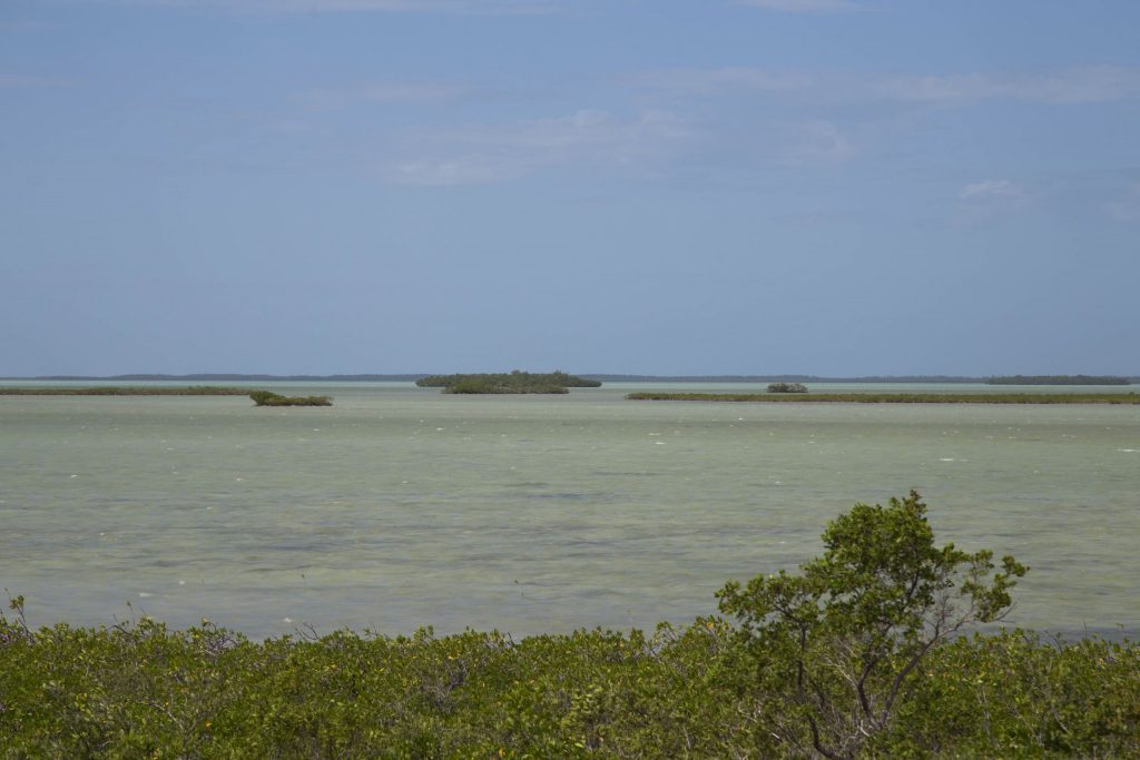 USA – The Florida Keys II: Bahia Honda Beach & Key West