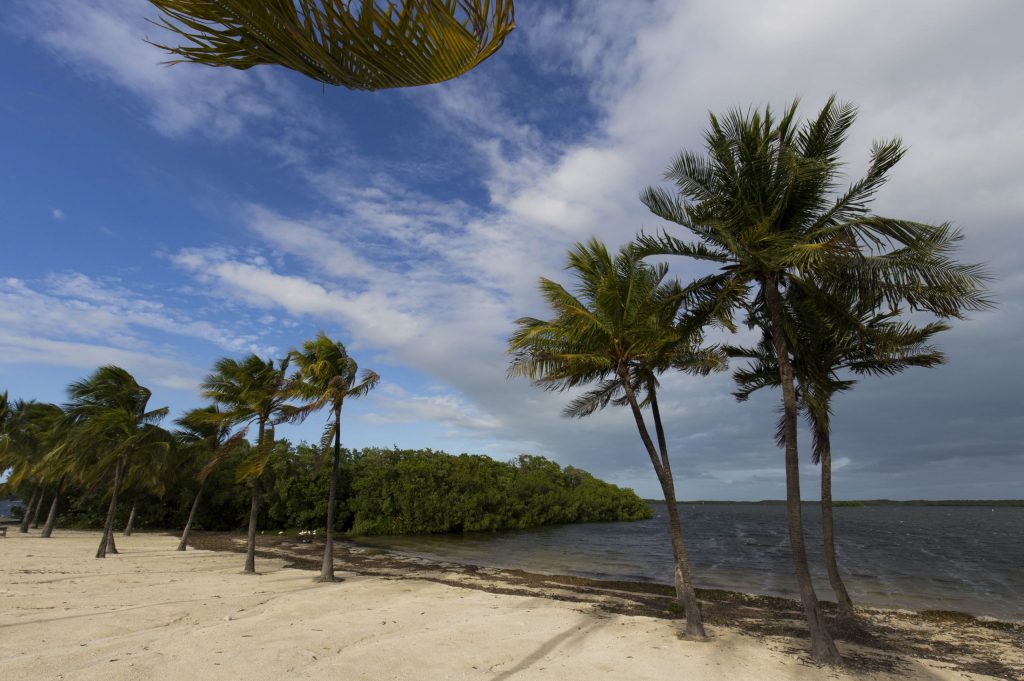 USA - The Florida Keys: Pennekamp Park, Pigeon Key, shooting and the best key lime pie