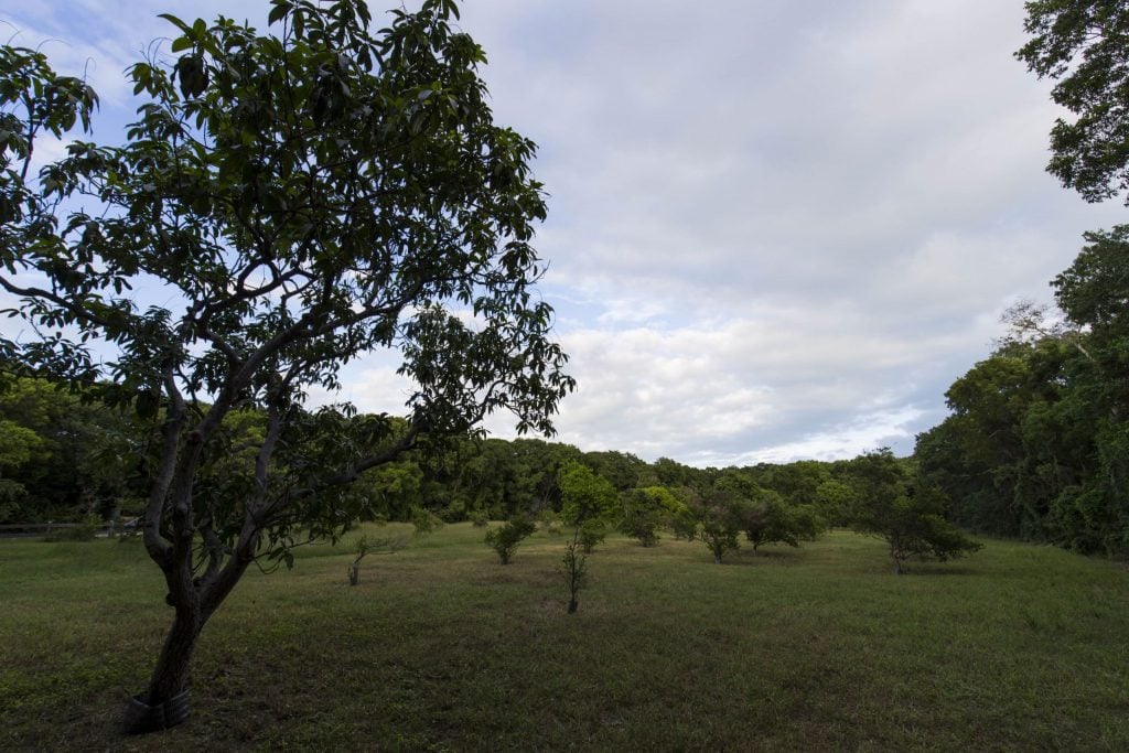 USA - The Florida Keys: Pennekamp Park, Pigeon Key, shooting and the best key lime pie