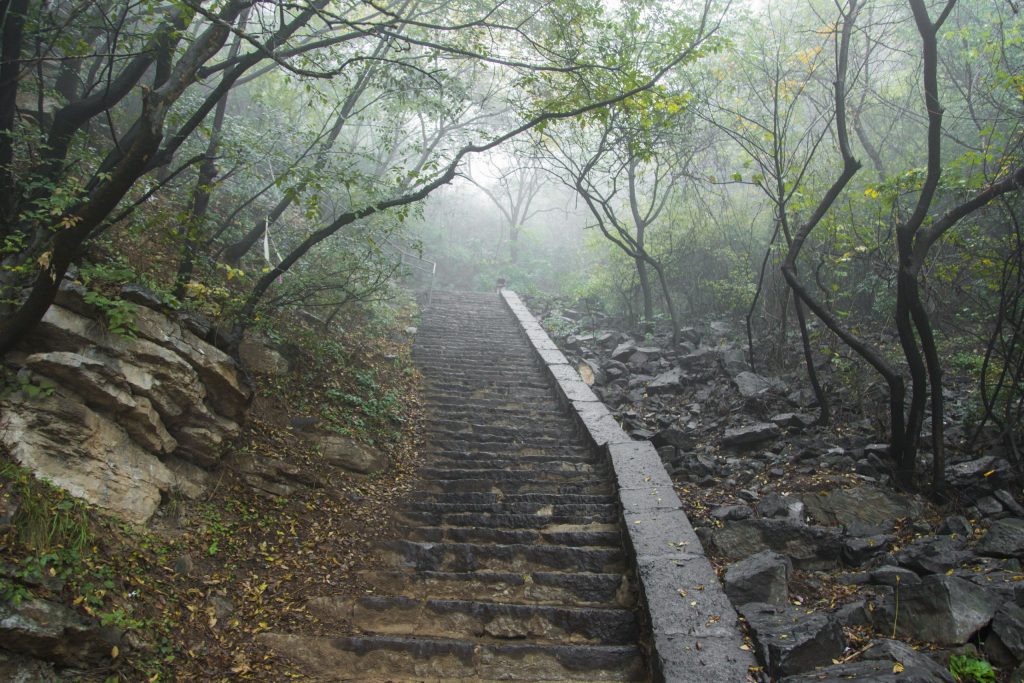 CHINA - Kung Fu at Shaolin Monastery and thousands Buddhas at Longmen grottoes