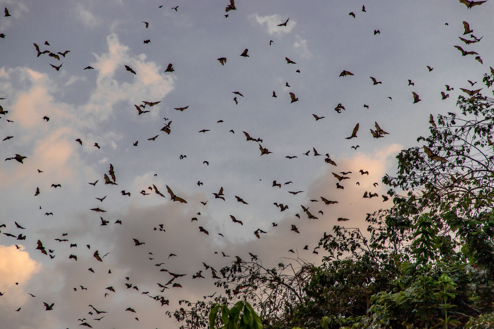 Bat cave Kpalime - TOGO - Best 10-day itinerary for a road trip from south to north