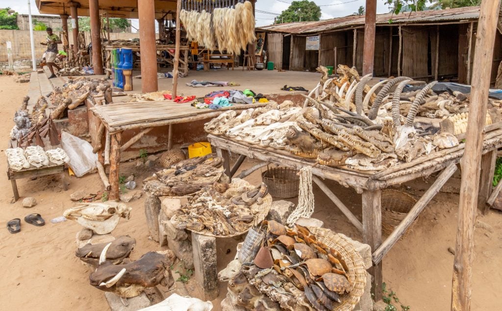 Voodoo Market in Lome - TOGO - Best 10-day itinerary for a road trip from south to north