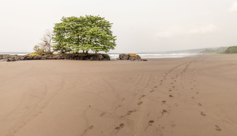 EQUATORIAL GUINEA - Best 10 day itinerary with island marvels and